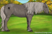 Horse Color:Silver Black 
