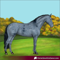 Horse Color:ERROR: UNKNOWN ANOMALY