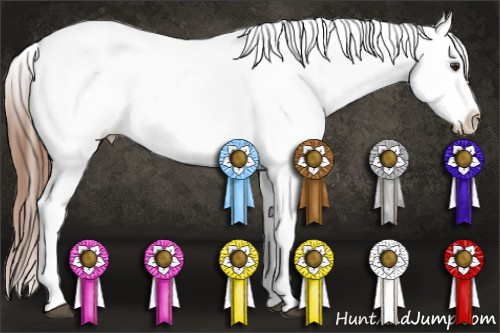 Horse Color:Chestnut Blanket 