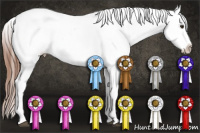 Horse Color:Chestnut Appaloosa