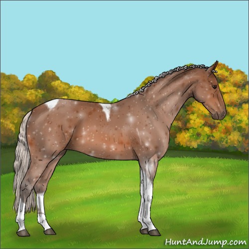 Horse Color:Silver Bay Tobiano 