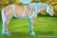 Horse Color:Thunderstruck Silver Amber Champagne Sabino Appaloosa 