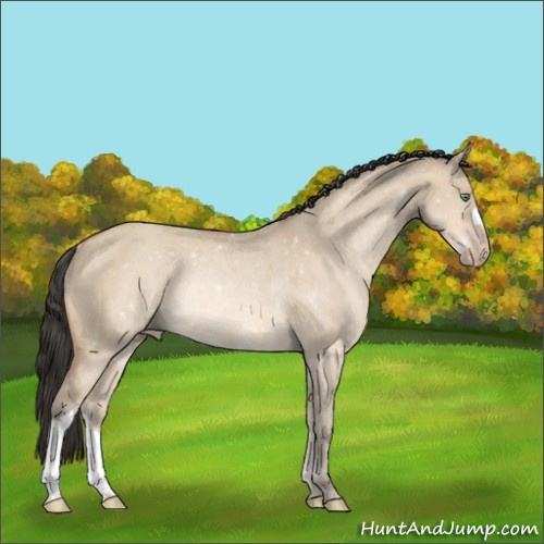 Horse Color:Amber Champagne Dun Rabicano