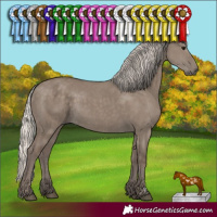 Horse Color:Silver Grullo