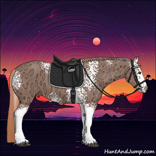 Horse Color:White Spotted Chestnut Ice 