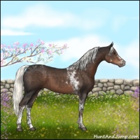 Horse Color:White Spotted Liver Chestnut Tobiano 