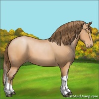 Horse Color:Bay Pearl Tobiano