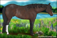 Horse Color:Brown Rabicano 