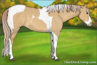 Horse Color:Palomino Dun Splash Tobiano