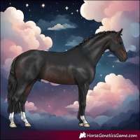 Horse Color:Brown 