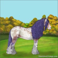 Horse Color:Watercolor White Spotted Bay Ice Onyx