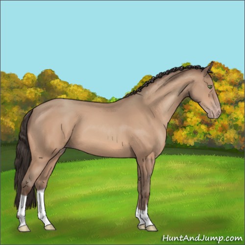Horse Color:Amber Champagne 