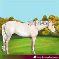 Horse Color:Silver Smoky Blue Roan Pearl Frame 