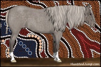 Horse Color:Silver Blue Roan Appaloosa 