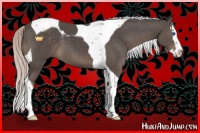 Horse Color:Silver Black Splash Tobiano 