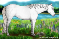Horse Color:Gray Silver Black Varnish Rabicano 