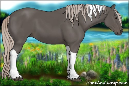 Horse Color:Silver Black Tobiano 