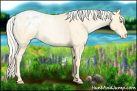 Horse Color:Silver Smoky Blue Roan Pearl Blanket 
