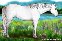 Horse Color:Gray Silver Black 