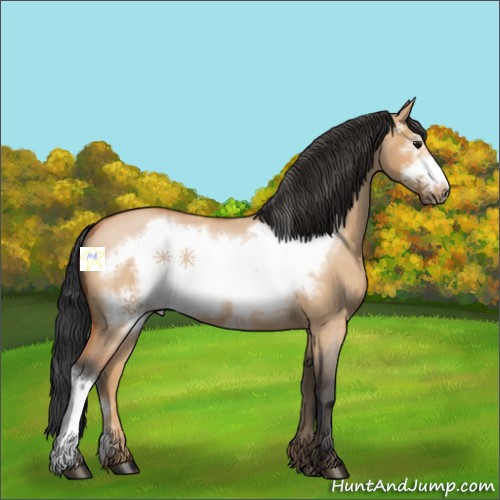 Horse Color:Bay Roan Dun Frame 