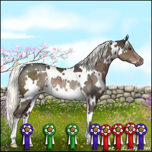 Horse Color:White Spotted Liver Chestnut Mushroom Rabicano 