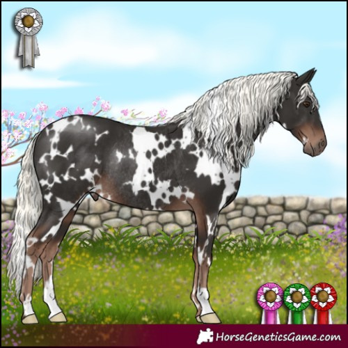 Horse Color:White Spotted Liver Chestnut Mushroom Rabicano 