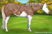 Horse Color:Chestnut Ice Splash 