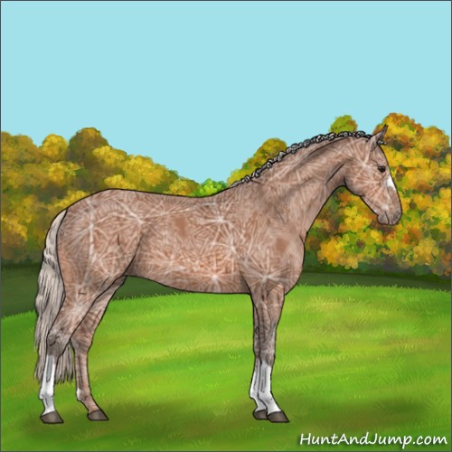 Horse Color:Silver Bay Ice 