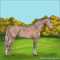 Horse Color:Silver Bay Ice 