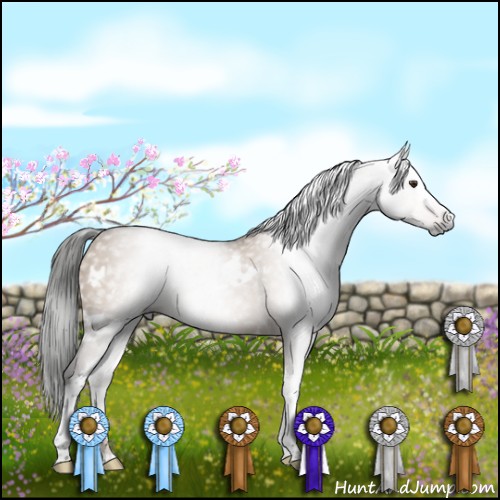 Horse Color:Gray White Spotted Liver Red Dun 