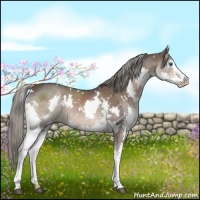 Horse Color:White Spotted Liver Chestnut Splash 