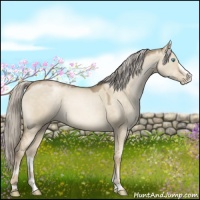 Horse Color:Chocolate Palomino Pearl Dun Sabino