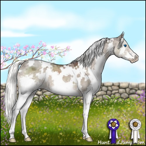 Horse Color:White Spotted Liver Red Dun Splash 
