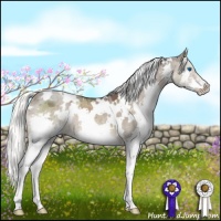 Horse Color:White Spotted Liver Red Dun Splash 