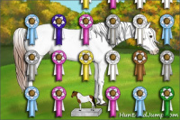 Horse Color:Chestnut Tobiano Appaloosa 