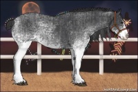 Horse Color:White Spotted Blue Roan Rabicano  and White Spotted Blue Roan Splash Rabicano 