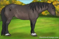 Horse Color:Platinum Brown 