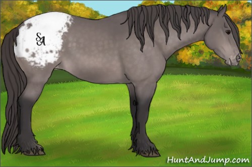 Horse Color:Platinum Buckskin Sabino Appaloosa 