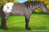Horse Color:Platinum Buckskin Sabino Snowcap 