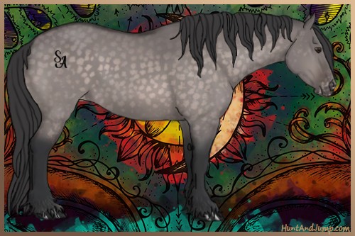 Horse Color:Platinum Brown Dun Appaloosa 