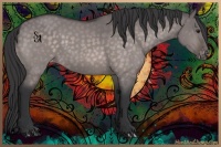 Horse Color:Platinum Brown Dun Appaloosa 