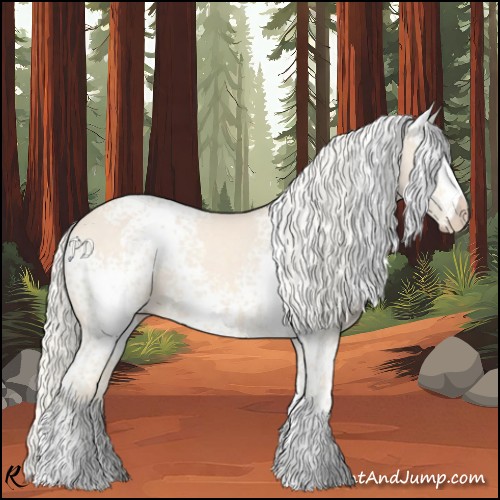 Horse Color:White Spotted Cremello