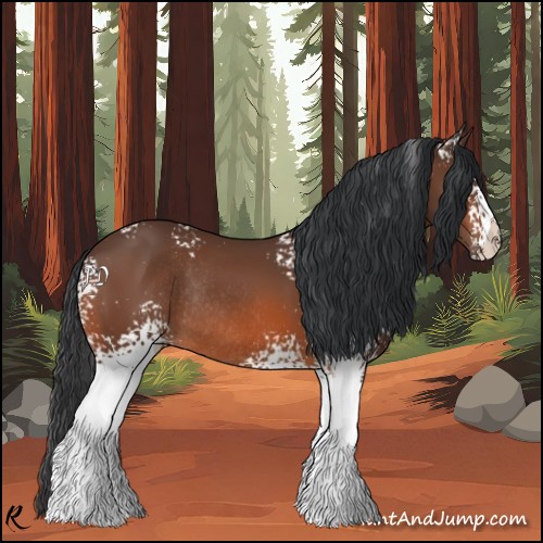 Horse Color:White Spotted Bay Rabicano 