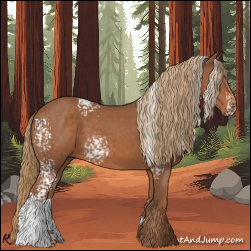 Horse Color:White Spotted Chestnut Sabino