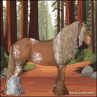 Horse Color:White Spotted Chestnut Sabino 
