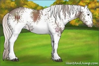 Horse Color:White Spotted Chocolate Silver Black 
