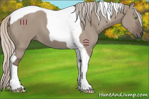 Horse Color:Silver Grullo Tobiano 