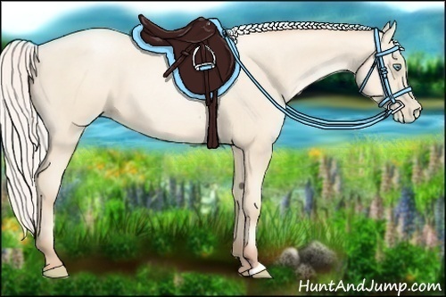 Horse Color:Silver Amber Cream Champagne Pearl