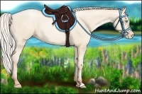 Horse Color:Silver Amber Cream Champagne Pearl