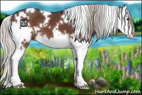 Horse Color:White Spotted Silver Bay Splash